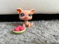 Hasbro Littlest PET Shop Schwein #885 mit Zubehör Hessen - Wöllstadt Vorschau