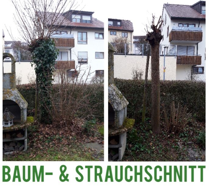 Baumfällung, Baumpflege, Heckenschnitt, Gartenpflege, Rasenpflege in Besigheim