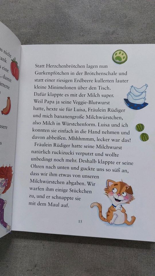 Erstleser Schule d magischen Tiere Li. Susewind Drachenzähmen in Frankfurt am Main