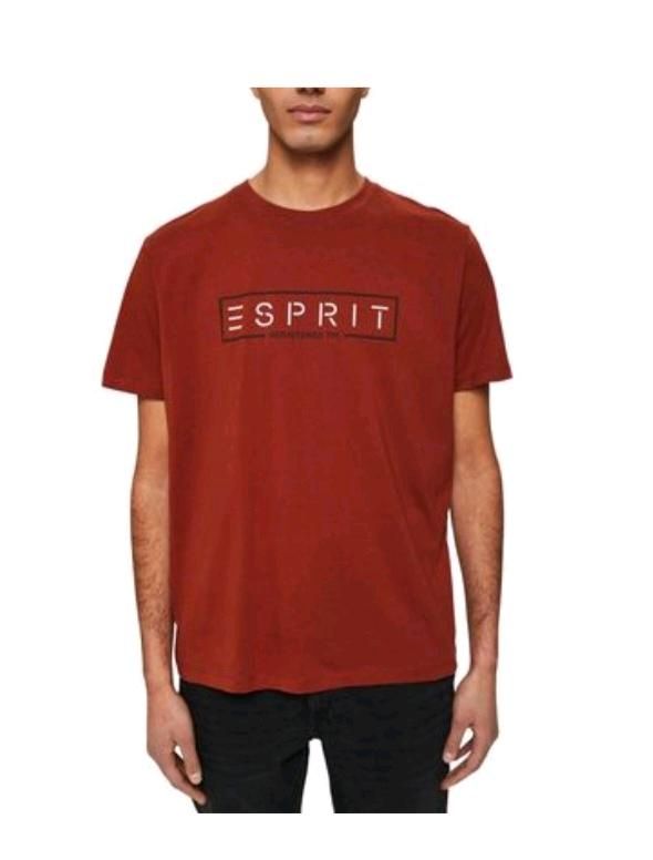 Esprit Tshirts T-shirt Hemd in Südbrookmerland
