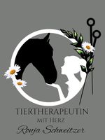 Physiotherapie/ Reha / Akupunktur/ Bemer für Pferde Hessen - Wolfhagen  Vorschau