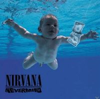 Nirvana “Nevermind” - TOP Zustand - Grunge Bayern - Bayrischzell Vorschau