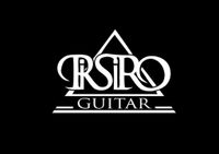 Gitarrenreparatur Gitarrenservice Risiro Guitar Leipzig / Halle Leipzig - Altlindenau Vorschau