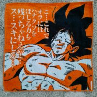 Dragon Ball Handtuch Waschlappen 35x35cm Mitte - Tiergarten Vorschau