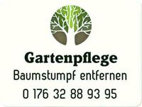 Gartenpflege Nürnberg (Mittelfr) - Mitte Vorschau