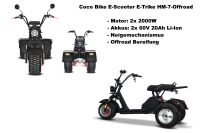 Coco Bike E-Scooter E-Trike HM7 Offroad 4000W 2x20AH Akkus Rheinland-Pfalz - Idar-Oberstein Vorschau