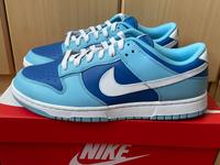 Nike Dunk Low Retro - Argon Blue - 44 Hessen - Kassel Vorschau