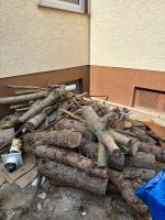 Holz abzuholen Hessen - Rüsselsheim Vorschau