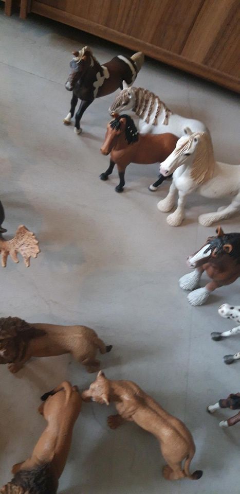 51 verschiedene Schleich Figuren in Dortmund