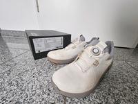 Golfschuhe Ecco Biom H4, Gr.41 Nordrhein-Westfalen - Warburg Vorschau