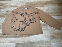 Pullover ZARA Gr 152 wie neu Niedersachsen - Delmenhorst Vorschau