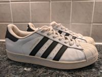 Adidas Superstar _ Trend Sneaker / Schuhe _ Gr. 42 Nordrhein-Westfalen - Troisdorf Vorschau