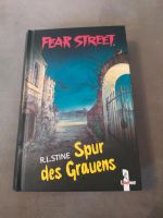 Fear Street Spur des Grauens Nürnberg (Mittelfr) - Aussenstadt-Sued Vorschau