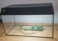 Aquarium Juwel 54 Liter 60x30x30 guter Zustand Köln - Nippes Vorschau