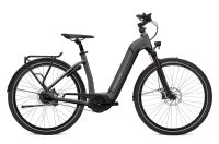 Reduziert *NEU* FLYER E-Bike Gotour 6 3.41R // Zweiradhaus Grave Niedersachsen - Hagen am Teutoburger Wald Vorschau