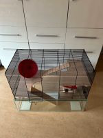 Hamster/Meerschweinchen Käfig/Stall mit Zubehör Niedersachsen - Bramsche Vorschau