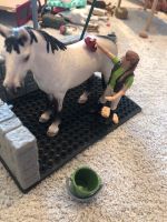 Pferde Waschanlage Schleich Essen - Frillendorf Vorschau