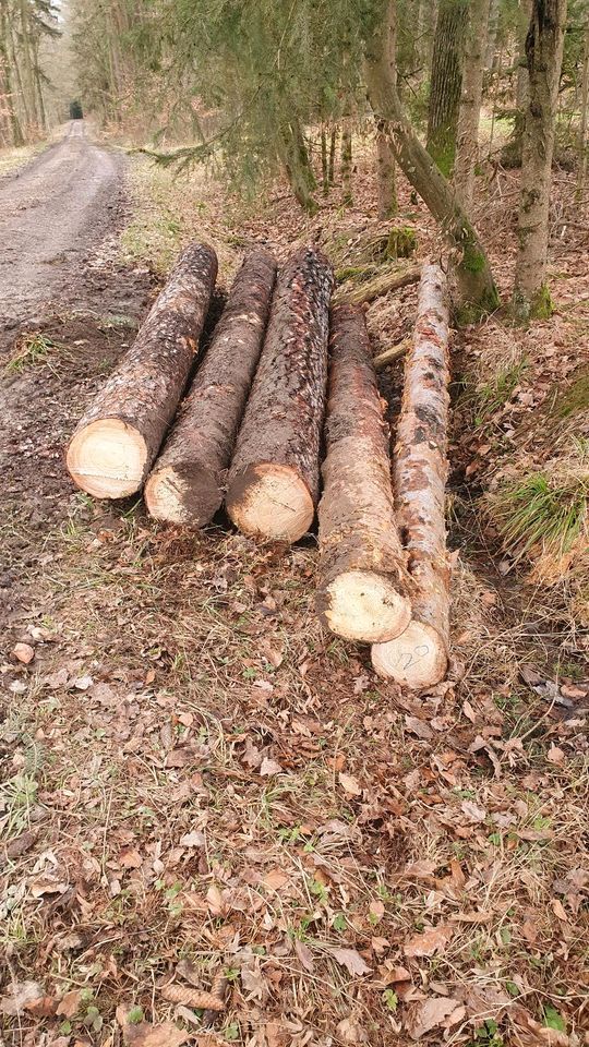 Kiefer 4m Holzstamm Stammholz Kiefernstamm Kiefernholz 4 m in Daiting