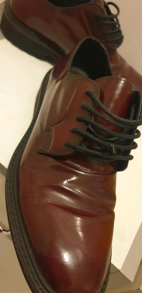 Geox Herren Lederschuhe Größe 40 bordeaux rot in Ludwigshafen