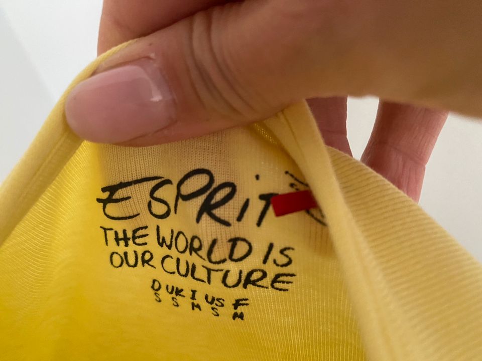 ♥️ Top Shirt ESPRIT Gr. S 36 gelb Frühling EDC ♥️ in Hennef (Sieg)