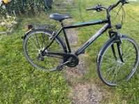 Fahrrad von Prophete 28 Zoll Sehr gut erhalten Nordrhein-Westfalen - Extertal Vorschau