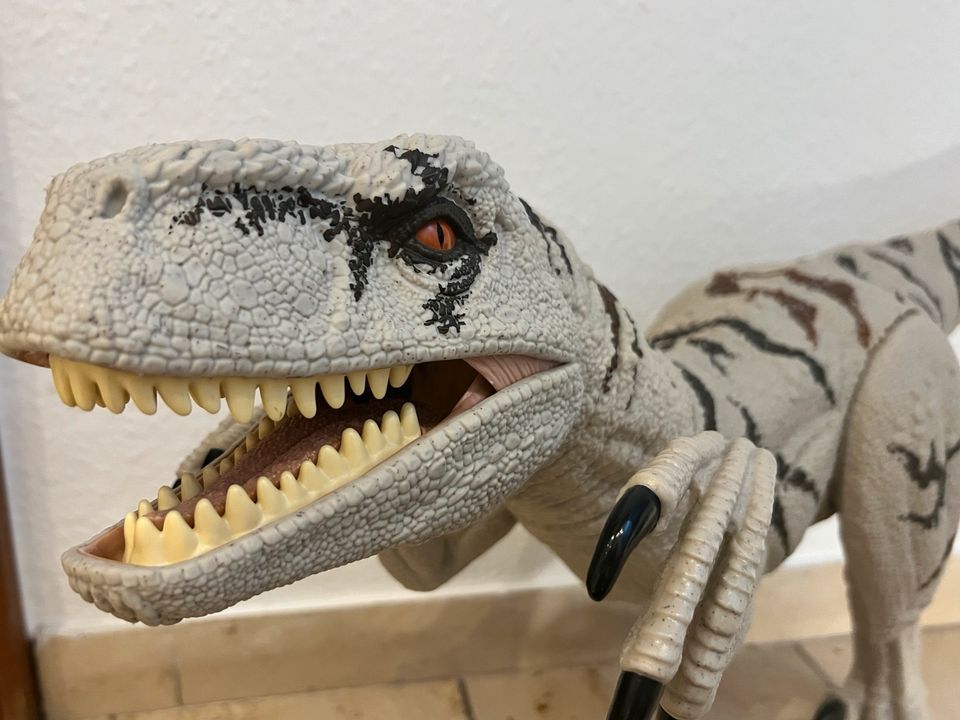 Jurassic World Dinosaurier Raptor Figur, top Zustand in Werne