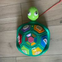 vtech Schildkröte Bielefeld - Dornberg Vorschau