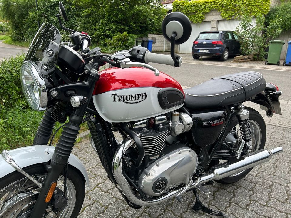 Triumph T120 Bonneville Bud Ekins in Freinsheim