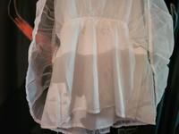 Petticoat 3 verschiedene 50iger Brandenburg - Nauen Vorschau