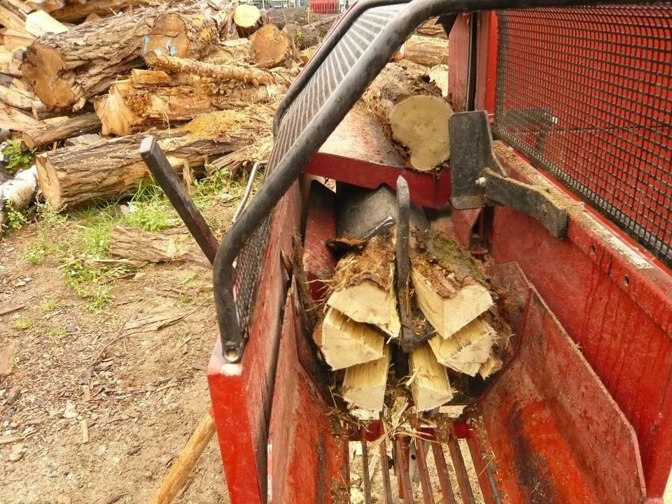 Baumdienst*Baumpflege*Baumfällung*Stubbenfräsen*Brennholz in Neu-Zittau