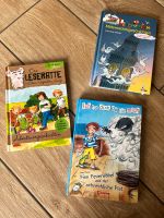 Buch verschiedene Kinderbücher Set Bayern - Schwanstetten Vorschau