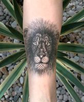 Faye Halliday Art - Temporary Tattoo King Hannover - Linden-Limmer Vorschau