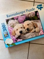 Puzzle Ravensburger 9+ 300XXL  Hunde neu OVP Hessen - Künzell Vorschau