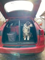 Hundegitter mit Gepäckraumtrennung Schleswig-Holstein - Kellinghusen Vorschau