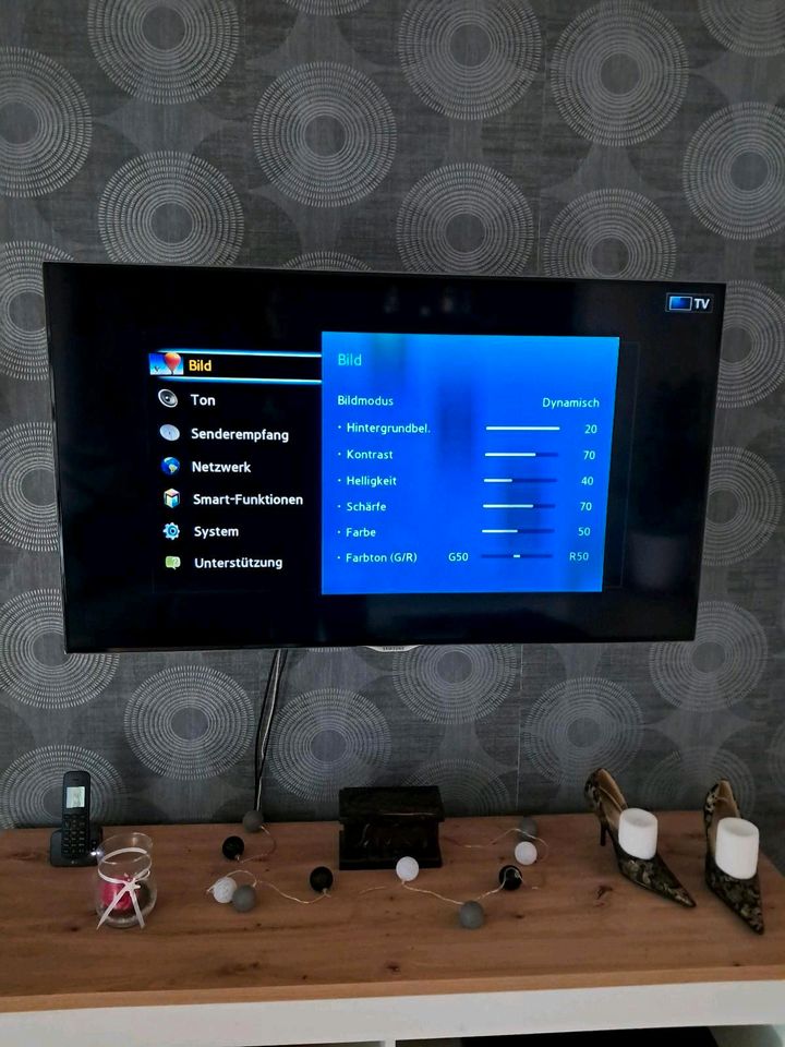 Samsung TV Modell UE 46F6500 in Sande