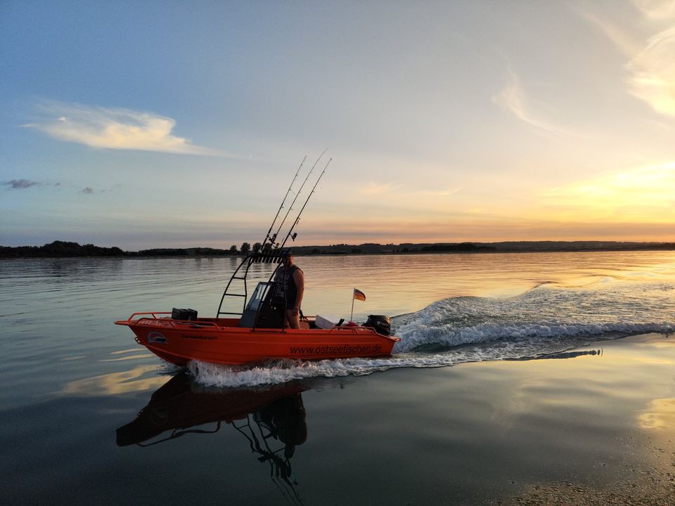 Zackenbarsch 15PS Führerscheinfrei Mietboot 4 Stunden Angelboot in Lütjenburg