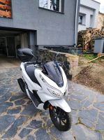 Honda PCX 125 Sachsen-Anhalt - Weißenfels Vorschau