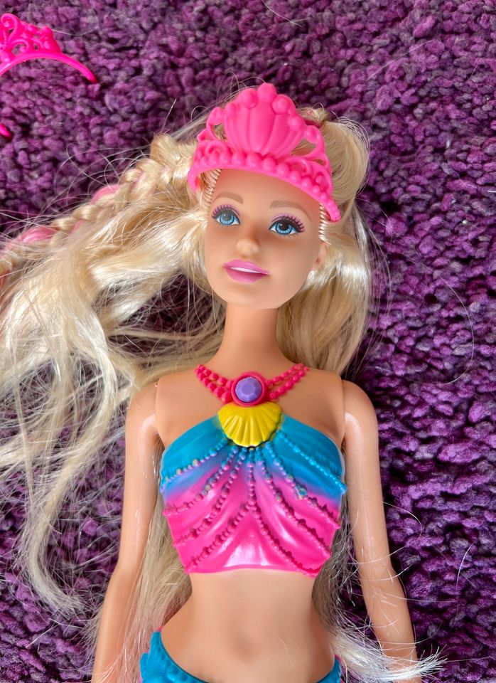 Barbie Meerjungfrau Dreamtopia in Flensburg