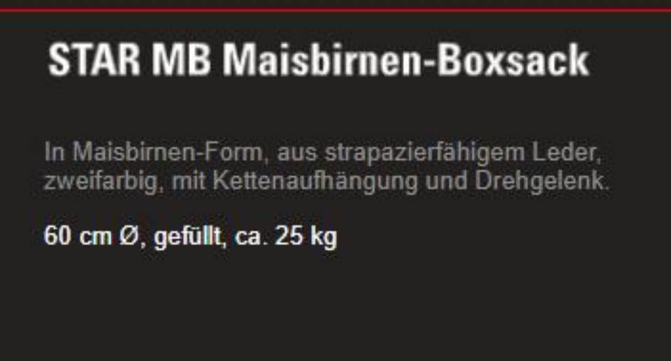 Boxsack aus Leder von Pfaffen Sport. Unbenutzt im Originalkarton. in München