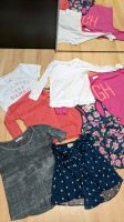 Abercrombie & Fitch | Hollister | Gilly Hicks ... Shirts S & M Sachsen - Rochlitz Vorschau