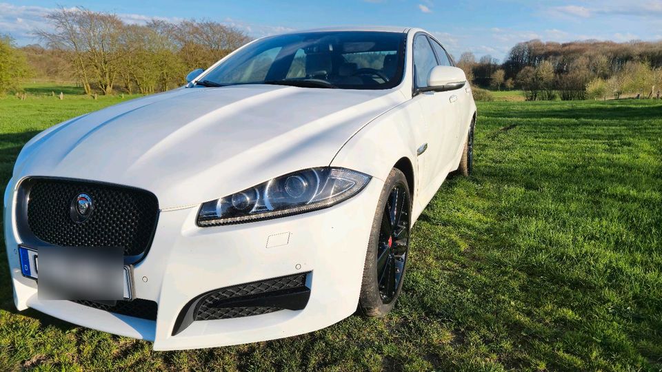 Jaguar XF 2.2 Diesel in Dannewerk