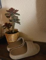 Adidas Originals Island Club Adilette 22 - Badesandale Rheinland-Pfalz - Wörth am Rhein Vorschau