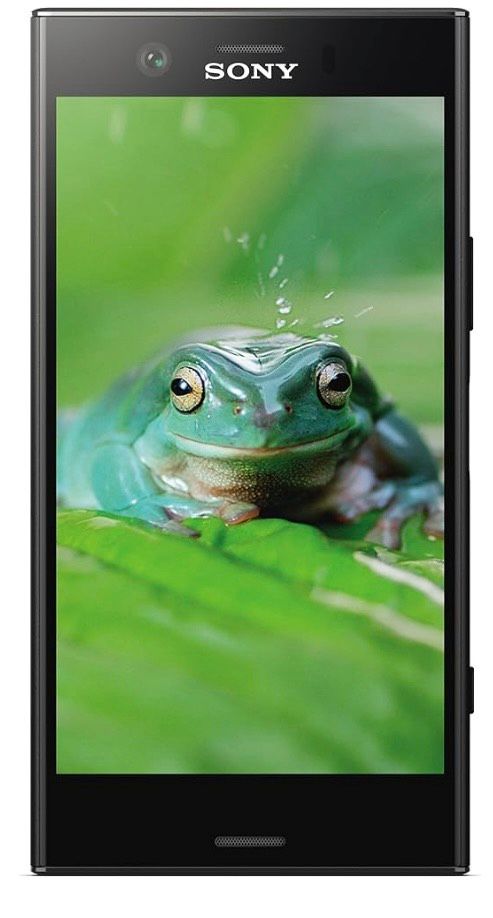 Sony Xperia XZ1 Smartphone in Berlin