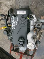 VW Passat 3BG Audi A4 Motor 1,9TDI-100ps AVB  Bj 2003 Nordrhein-Westfalen - Heek Vorschau