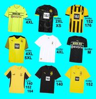 Verschiedene ORIGINAL Puma BVB Dortmund Trikots Trikot Nordrhein-Westfalen - Borken Vorschau