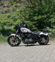Harley Davidson Iron 1200 Rheinland-Pfalz - Windhagen Vorschau