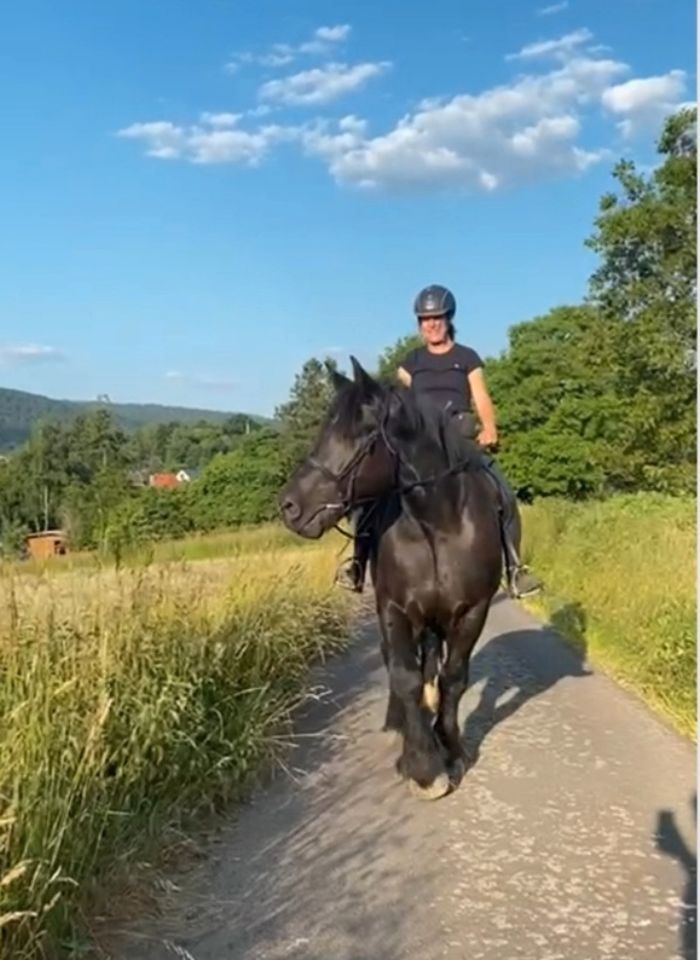 Jungpferdeausbildung / Anreiten / Beritt mit Herz und Verstand in Biebergemünd