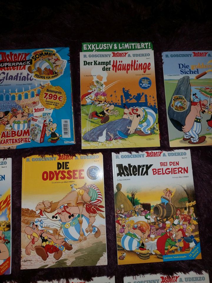 Asterix und Obelix Comics Sonderausgaben in Wegberg