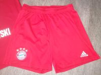 Adidas Shorts Gr. L, Bayern München Shorts Gr. L Sachsen - Zittau Vorschau