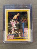 WWF / WWE 1993 Merlin Sticker Bret Hart #44 Nordrhein-Westfalen - Herne Vorschau